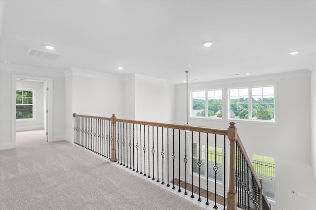 309 Militia Loop, North Augusta, SC 29860 - hall featuring plenty of natural light, carpet, crown molding, recessed lighting, and baseboards