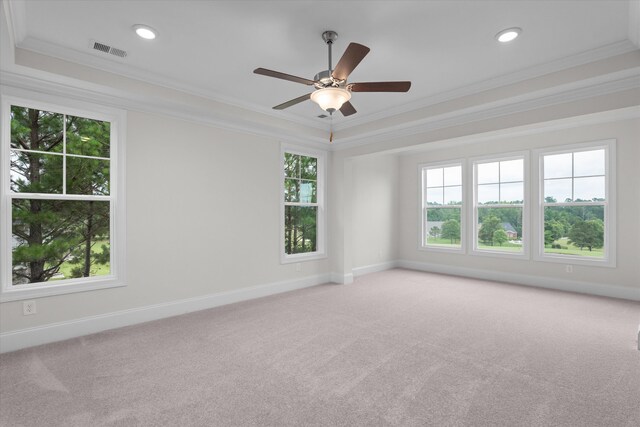 309 Militia Loop, North Augusta, SC 29860 - empty room featuring crown molding, healthy amount of natural light, a tray ceiling, light carpet, and baseboards