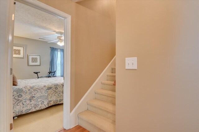 39 Mill Run, North Augusta, SC 29860 - photo 40