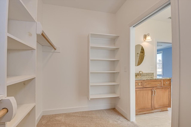 spacious closet featuring a sink and light colored carpet