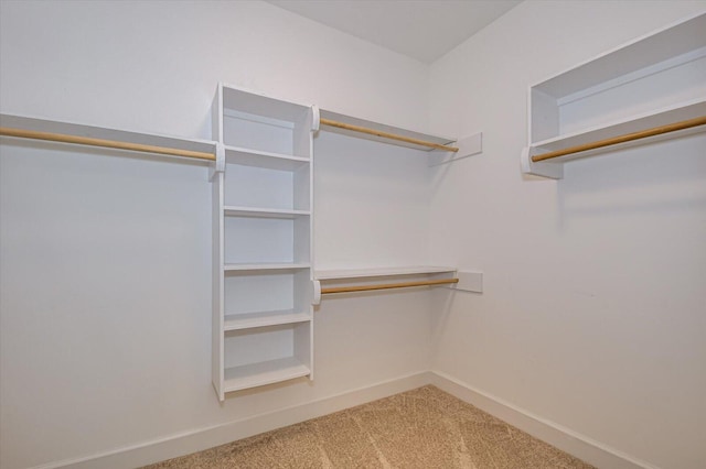 walk in closet with carpet