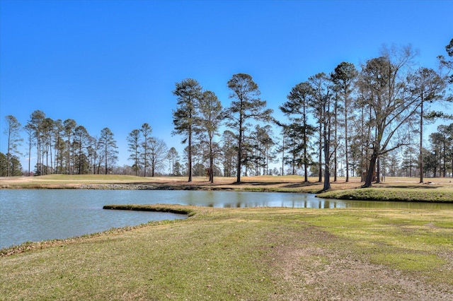 view of water feature