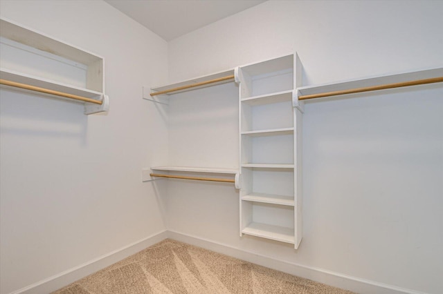 spacious closet featuring carpet floors