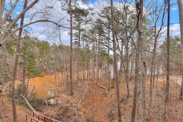 view of local wilderness with a forest view