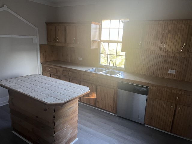 kitchen with stainless steel dishwasher, dark wood-type flooring, sink, and tile countertops