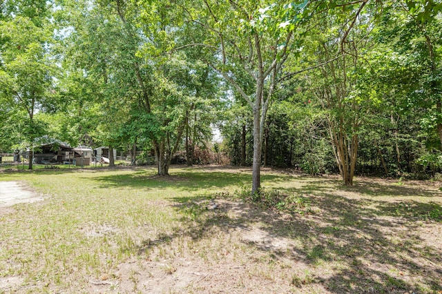 3205 E Gerald Dr, Augusta, GA 30906 - view of yard