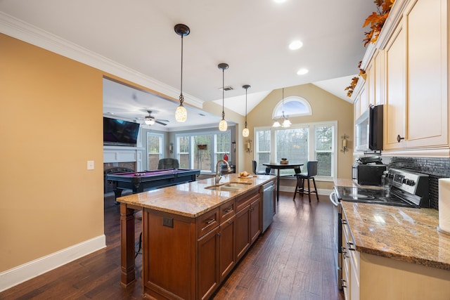 kitchen featuring a sink, dark wood-style floors, stainless steel appliances, a fireplace, and vaulted ceiling