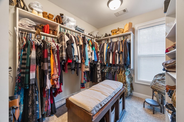 spacious closet with carpet flooring and visible vents