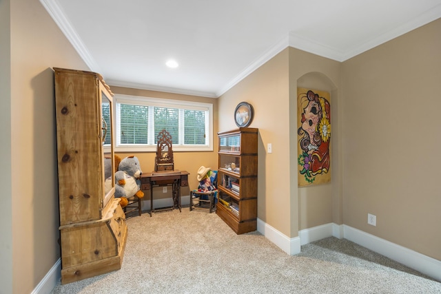 interior space with baseboards, carpet, and crown molding