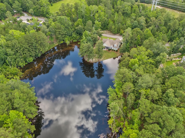 630 Parkside Dr, Aiken, SC 29803 - photo 62