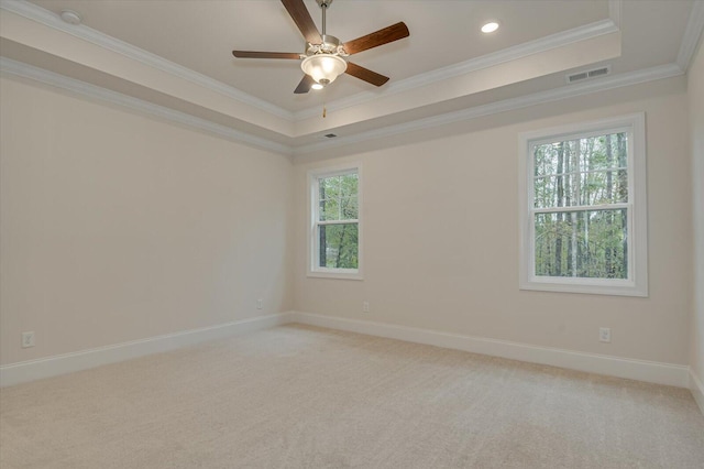 carpeted empty room with a raised ceiling, a wealth of natural light, and ornamental molding