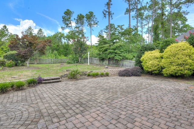 79 Loggerhead Dr, Columbia, SC 29229 - fenced backyard with a patio and view of wooded area