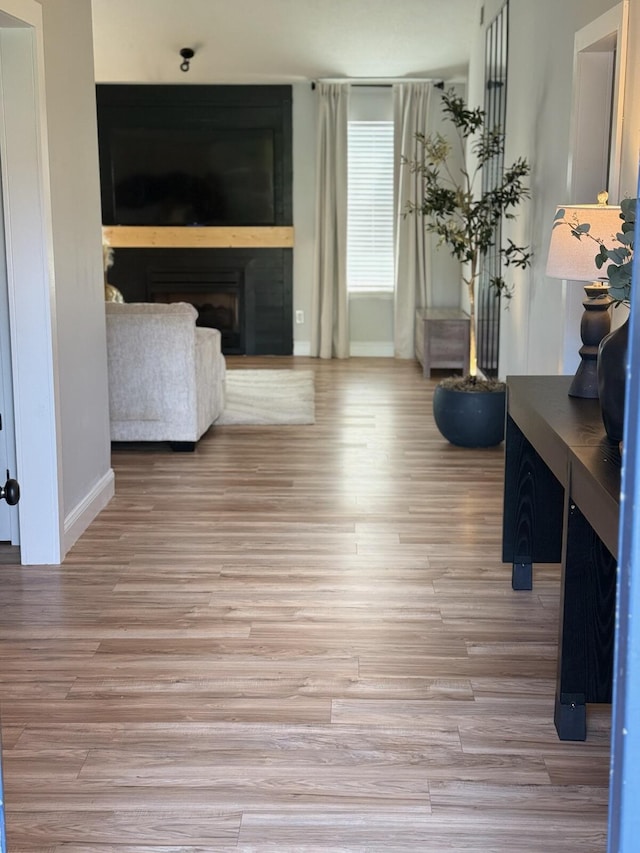 1229 Creek Bend Dr, Grovetown, GA 30813 - living area featuring light wood-style floors, a glass covered fireplace, and baseboards