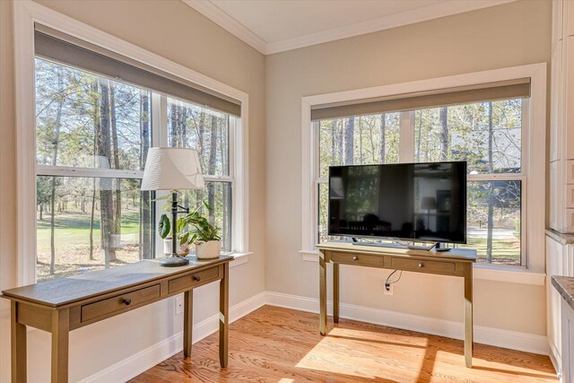 interior space with a healthy amount of sunlight, light wood-type flooring, and ornamental molding