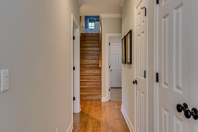 hall with light wood-type flooring and ornamental molding