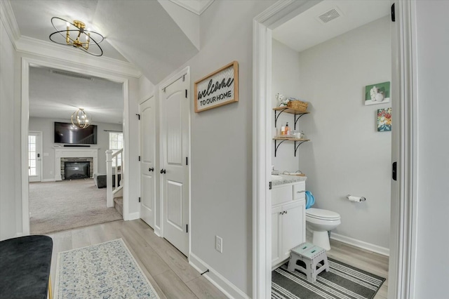 bathroom featuring vanity, hardwood / wood-style flooring, and toilet