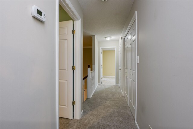 2516 Commons Trce, Augusta, GA 30909 - corridor with carpet, baseboards, and a textured ceiling