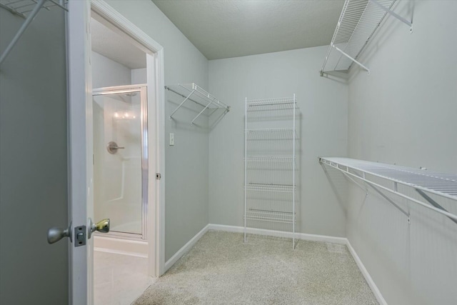 walk in closet featuring light carpet