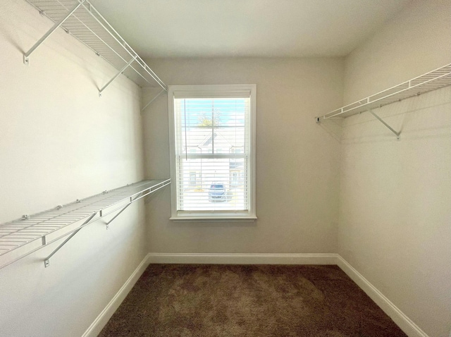 spacious closet with dark carpet