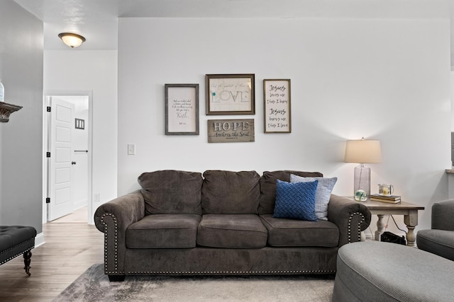 living room featuring hardwood / wood-style flooring