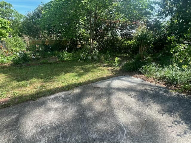 view of green lawn featuring a patio area