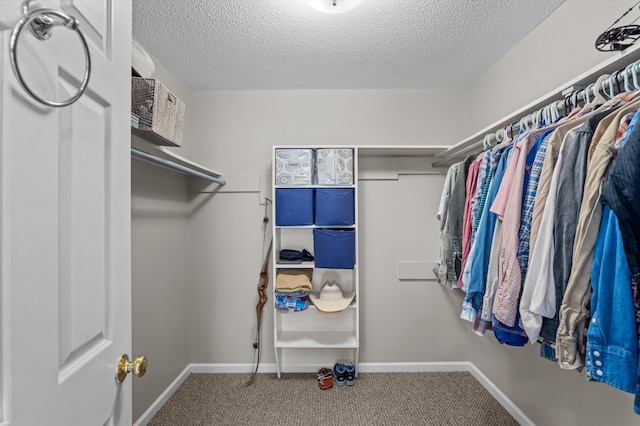 914 Deercrest Cir, Evans, GA 30809 - spacious closet with carpet flooring