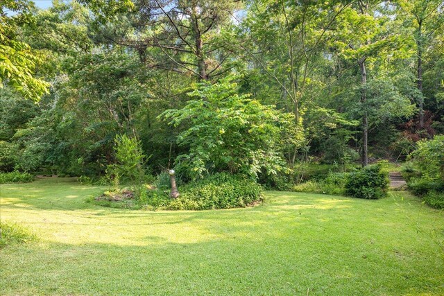 570 Wallace-Wells Cir, Lincolnton, GA 30817 - photo 49