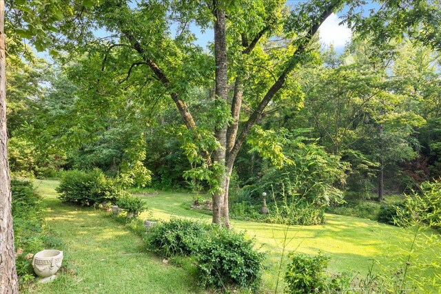 570 Wallace-Wells Cir, Lincolnton, GA 30817 - photo 48