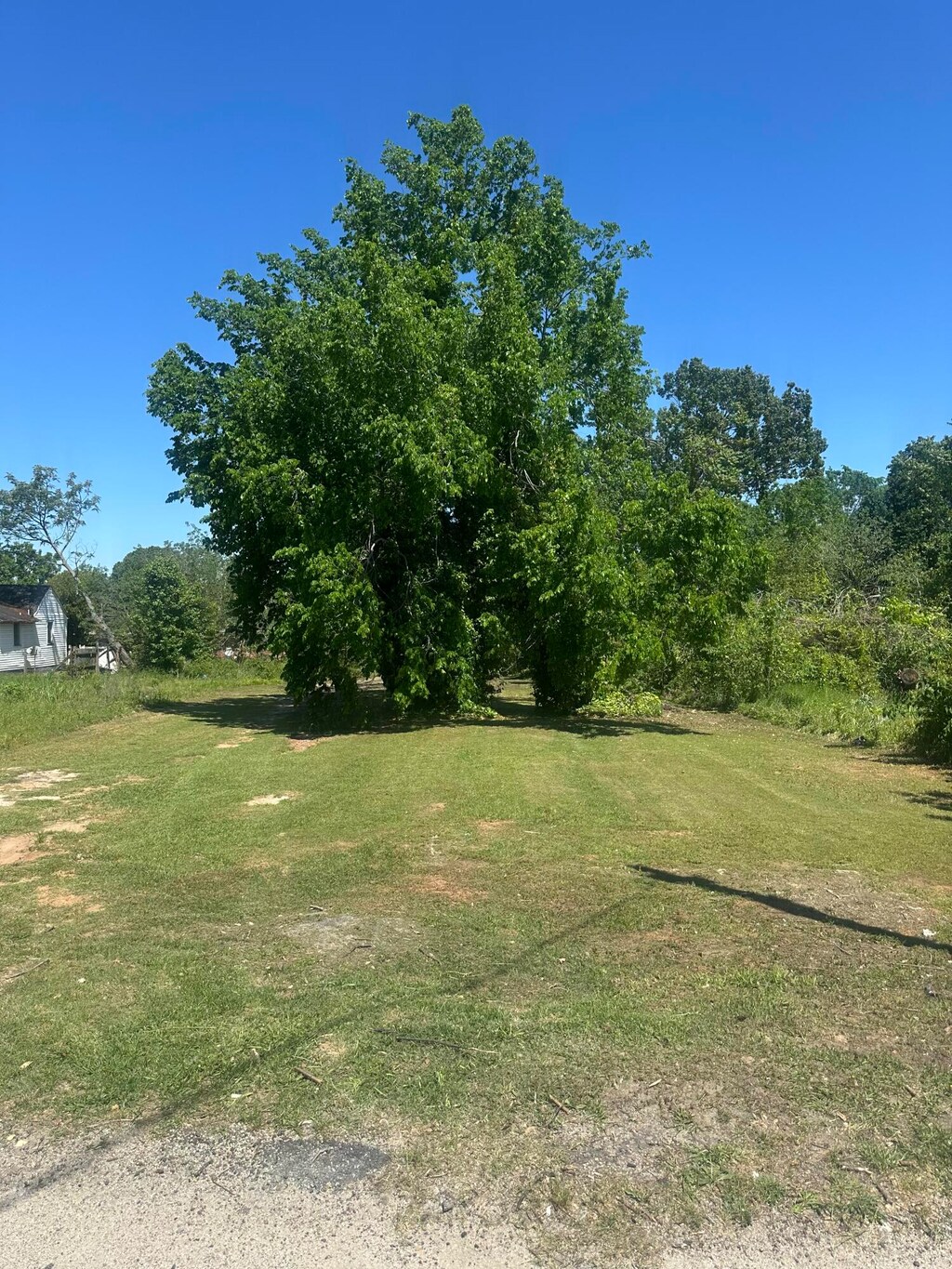 13 Nicholas St, Augusta, GA 30901