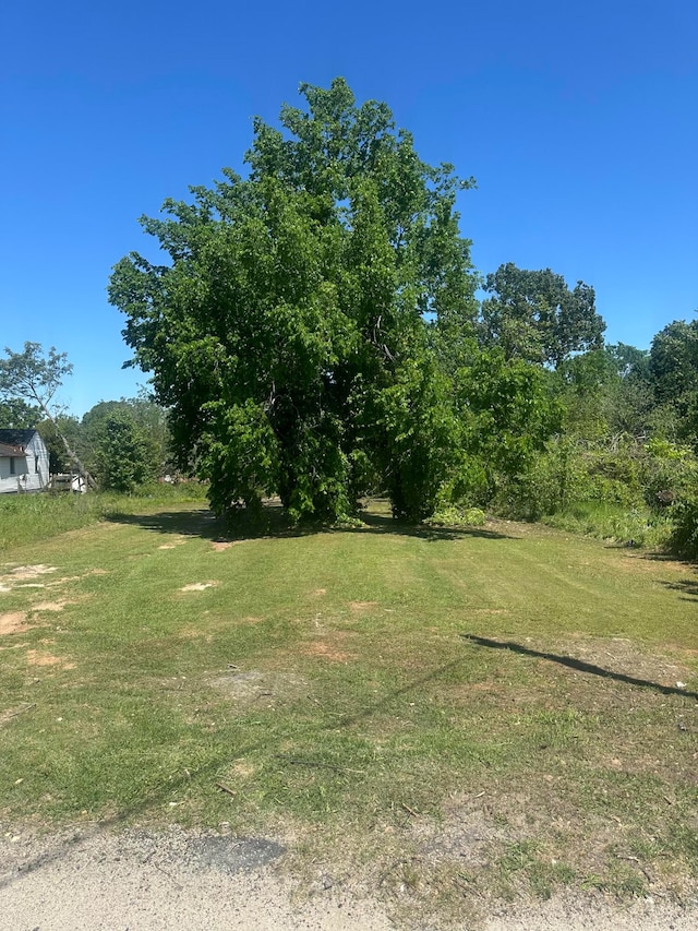 13 Nicholas St, Augusta, GA 30901