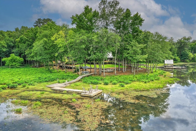 319 Hornsby Ln, Evans, GA 30809 - photo 52