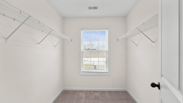 spacious closet with carpet and visible vents