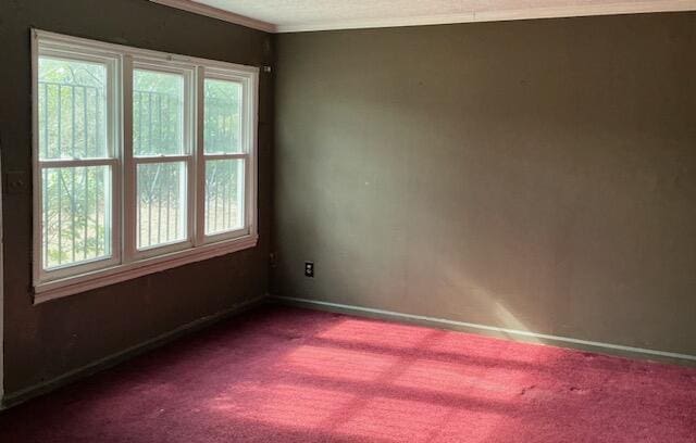 spare room featuring ornamental molding and carpet