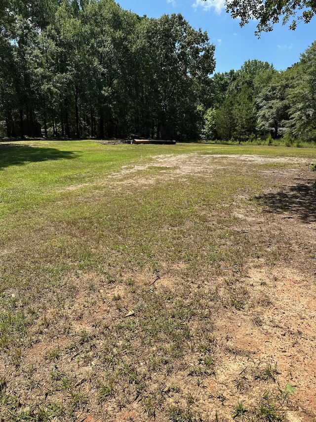 7068 Rance Perry Rd, Appling, GA 30802