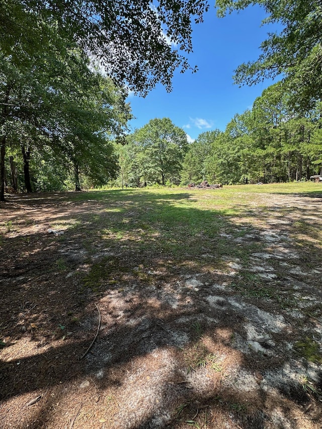 7068 Rance Perry Rd, Appling, GA 30802