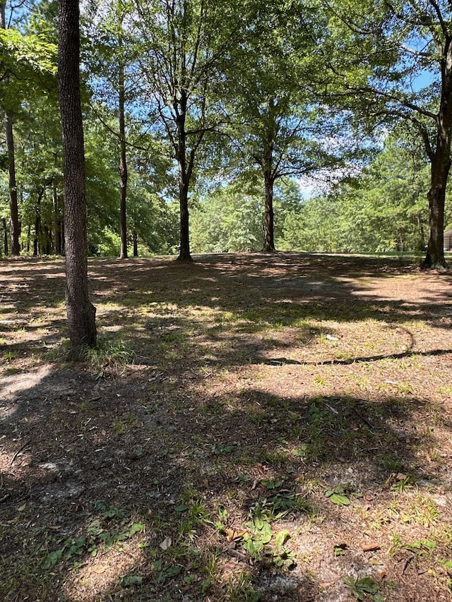 7068 Rance Perry Rd, Appling, GA 30802