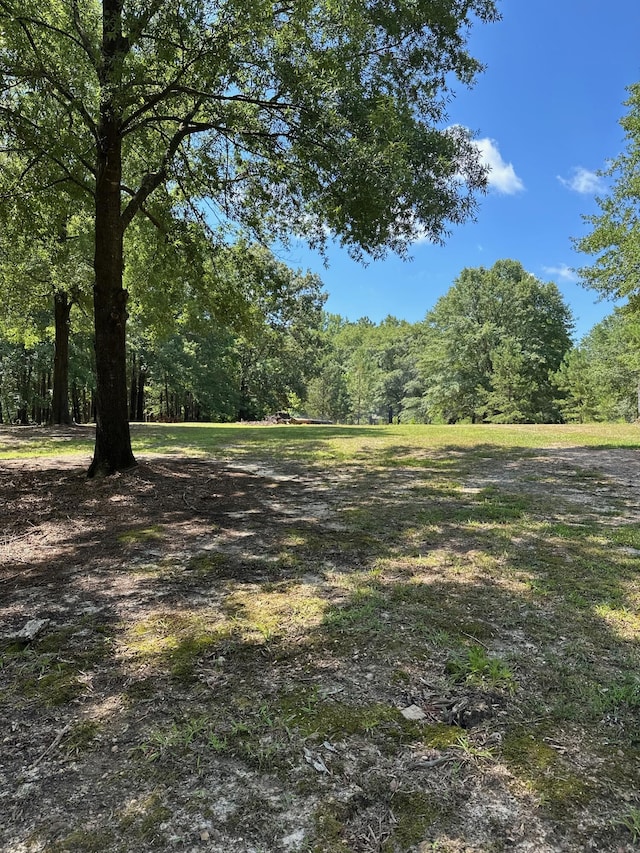 7068 Rance Perry Rd, Appling, GA 30802