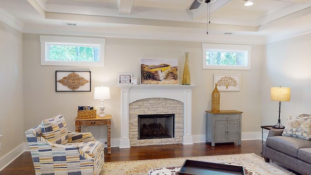 living room with a fireplace, a wealth of natural light, and crown molding