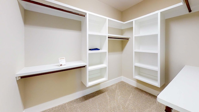 spacious closet with carpet floors