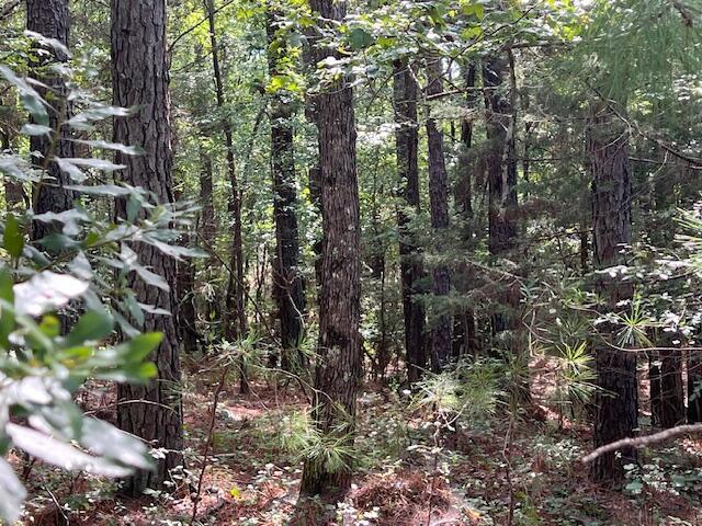 13-11 Arbor Ln, Mccormick, SC 29835 - photo 10