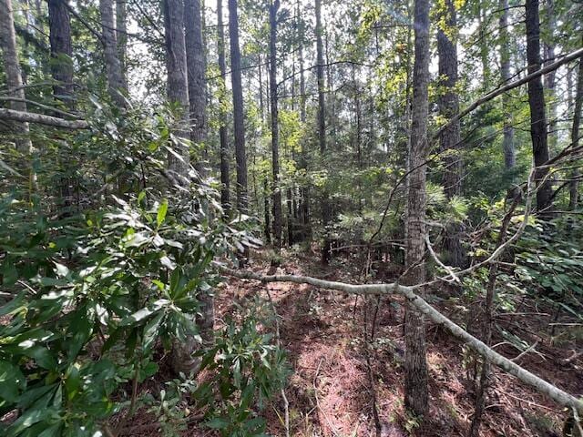 13-11 Arbor Ln, Mccormick, SC 29835 - photo 9