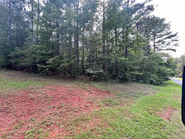 13-11 Arbor Ln, Mccormick, SC 29835 - photo 8