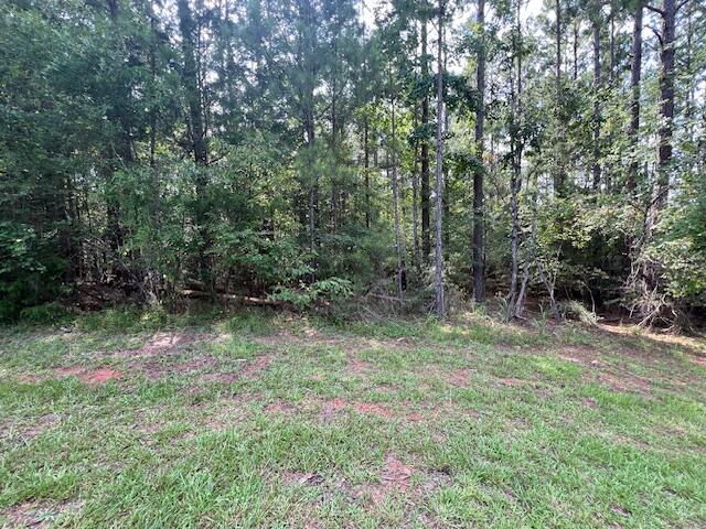 13-11 Arbor Ln, Mccormick, SC 29835 - photo 7