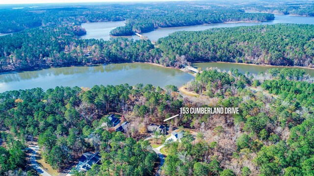 153 Cumberland Dr, Mccormick, SC 29835 - birds eye view of property with a water view and a forest view