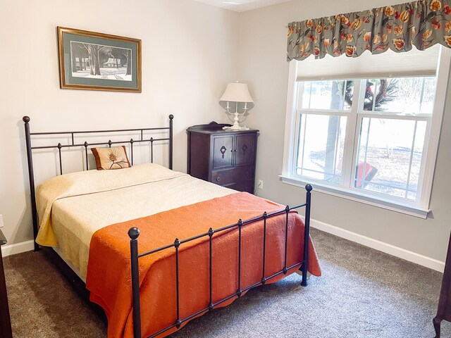 carpeted bedroom featuring multiple windows