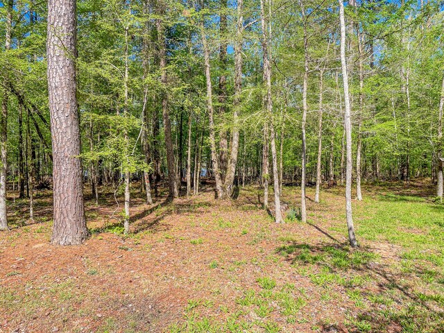 153 Cumberland Dr, Mccormick, SC 29835 - view of nature with a forest view