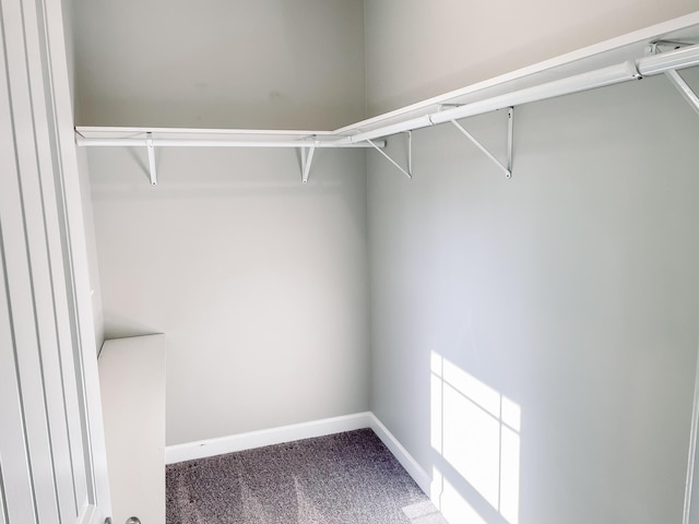 153 Cumberland Dr, Mccormick, SC 29835 - walk in closet featuring carpet flooring