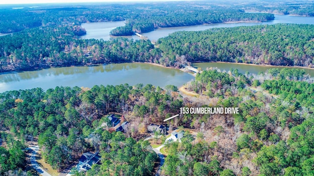 153 Cumberland Dr, Mccormick, SC 29835 - aerial view with a water view and a wooded view