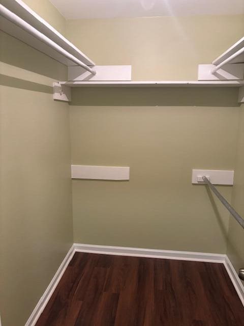 spacious closet featuring dark hardwood / wood-style flooring