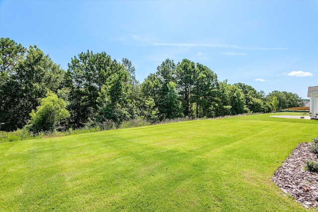 807 Whitney Shoals Rd, Evans, GA 30809 - photo 54